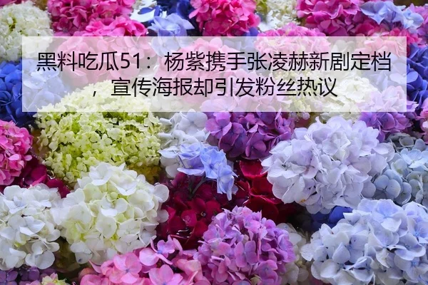 黑料吃瓜51：杨紫携手张凌赫新剧定档，宣传海报却引发粉丝热议